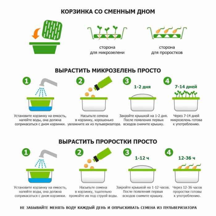 Подарочный набор для проращивания микрозелени, зеленый